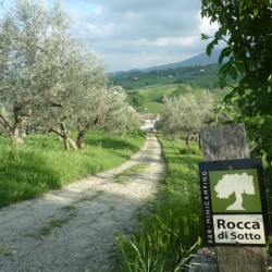 Mini boerderij camping Rocca di Sotto